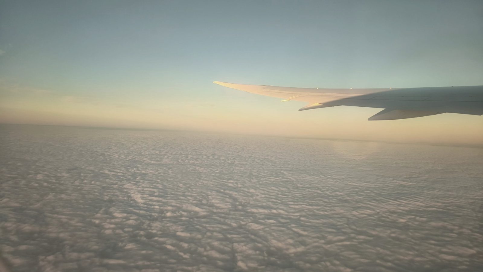 JAL国際線の窓から見た、朝焼けの雲海と主翼