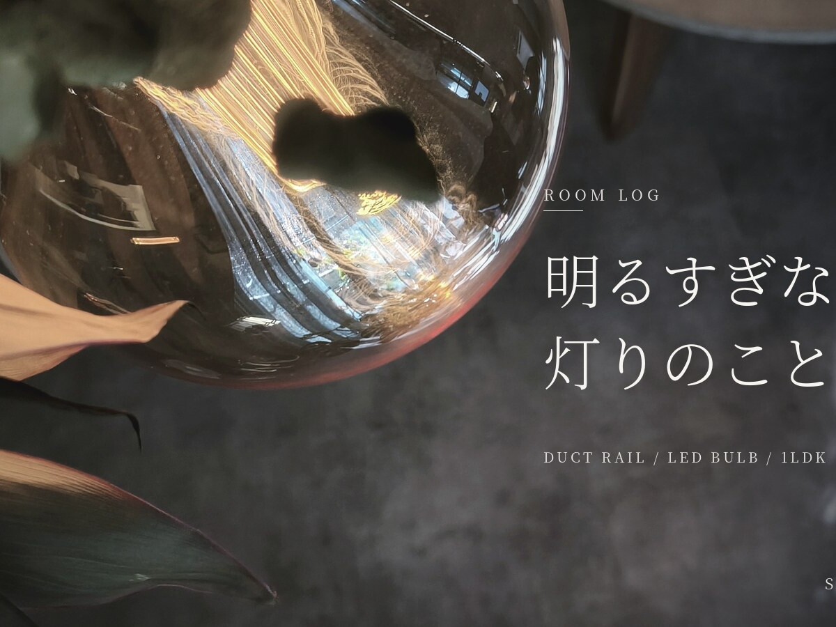 窓の光が映り込むNOSTALGIAのガラス電球。明るすぎない、灯りのこと。