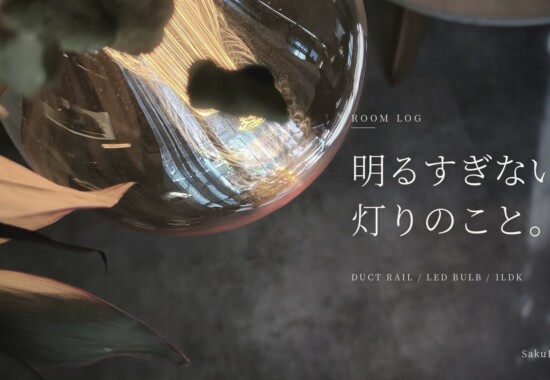 窓の光が映り込むNOSTALGIAのガラス電球。明るすぎない、灯りのこと。